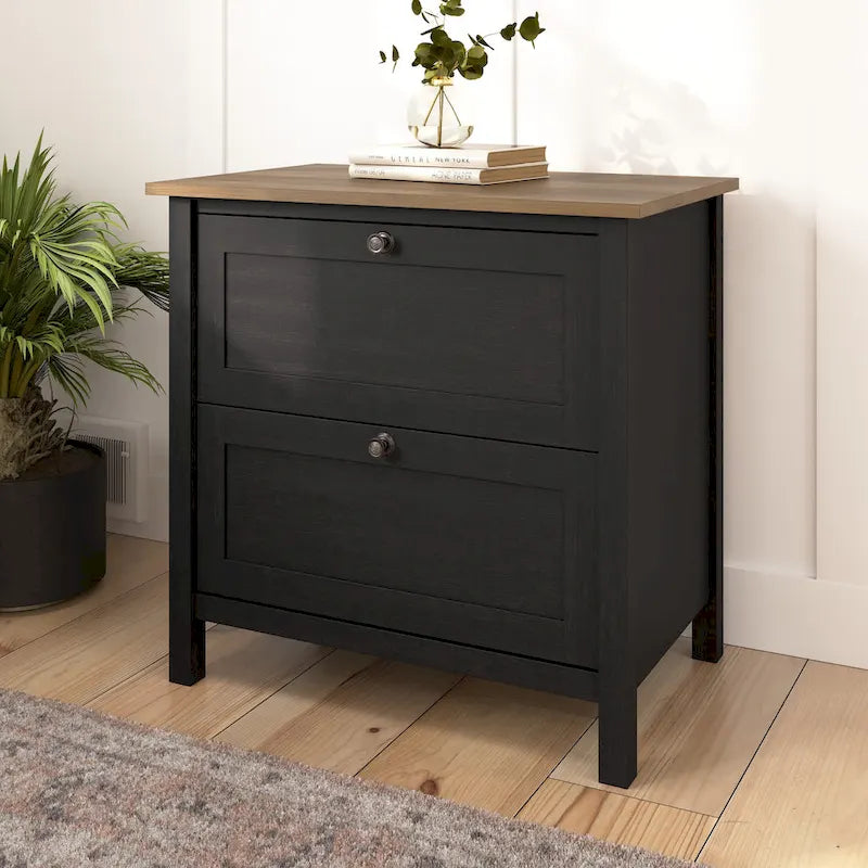 2 Drawer Lateral File Cabinet