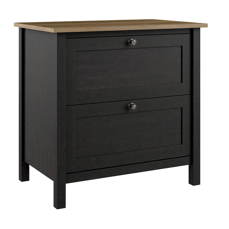 2 Drawer Lateral File Cabinet