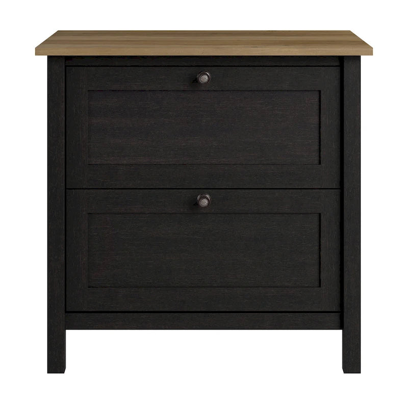 2 Drawer Lateral File Cabinet